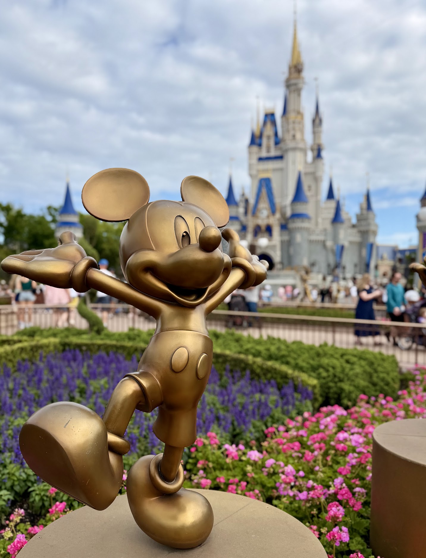 Disney Parks
